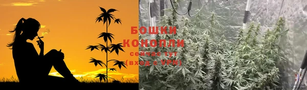 прущий лед Дмитриев