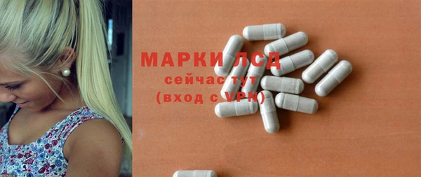 прущий лед Дмитриев