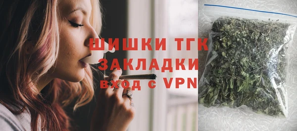прущий лед Дмитриев